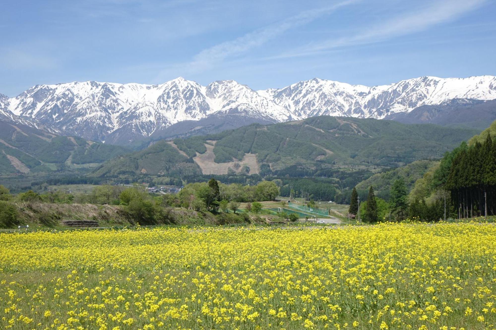 Country Inn Kashiwabara Hakuba Ngoại thất bức ảnh