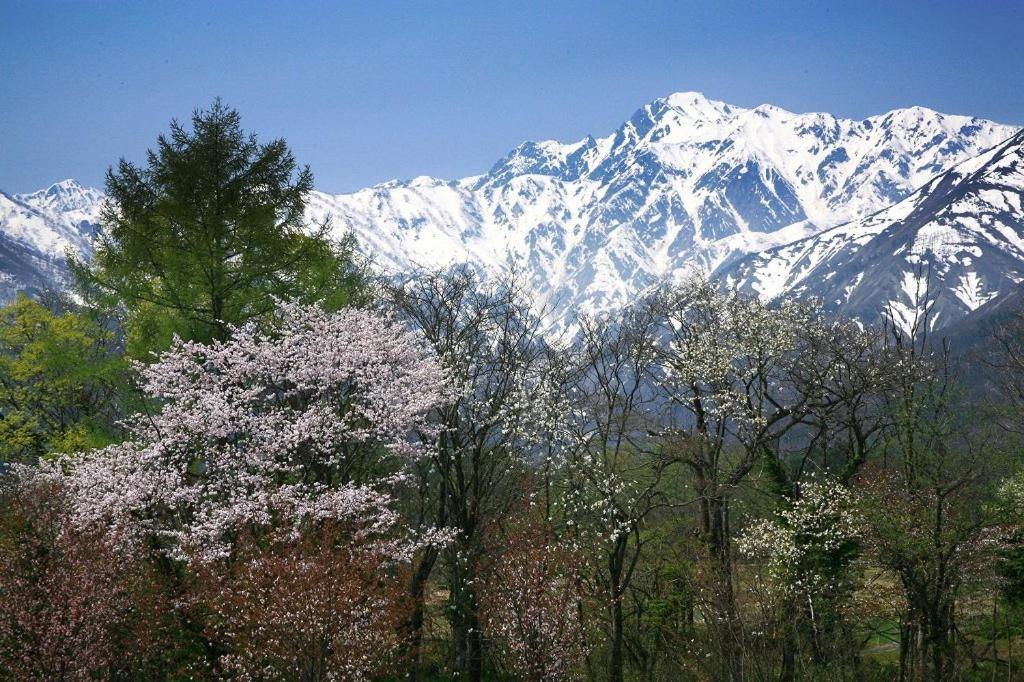 Country Inn Kashiwabara Hakuba Ngoại thất bức ảnh